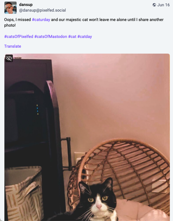 a screenshot showing how a Pixelfed photo from @dansup (showing a gorgeous tuxedo cat) shows up in my Mastodon feed