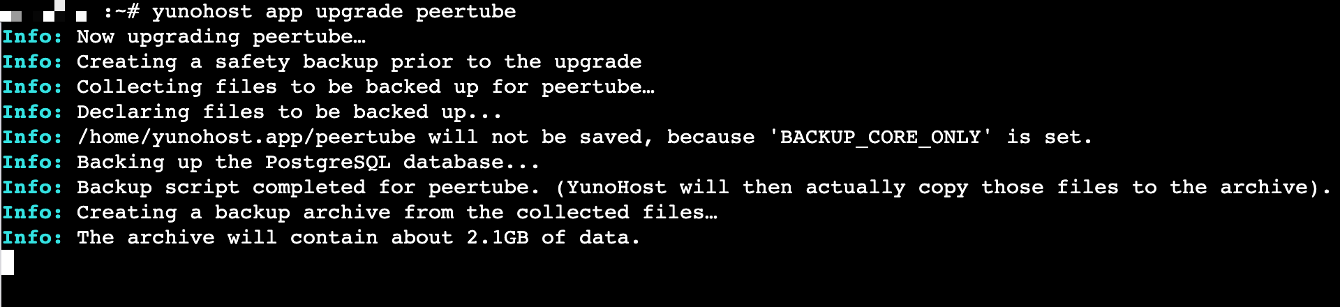 a screenshot of Terminal showing the PeerTube upgrade from Terminal, using the command line interface, inside tmux