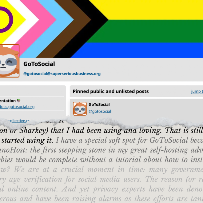 Image of: A newbie's guide to self-hosting: GoToSocial part 1 (installation and set-up)